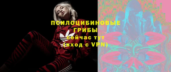 шишки Володарск