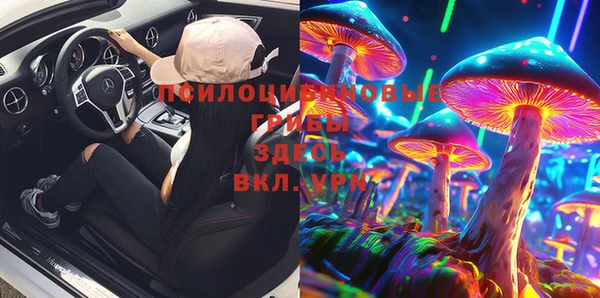 PSILOCYBIN Вязьма